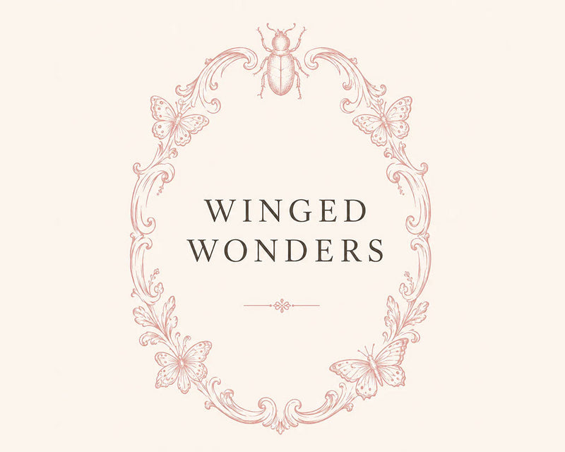 Winged Wonders